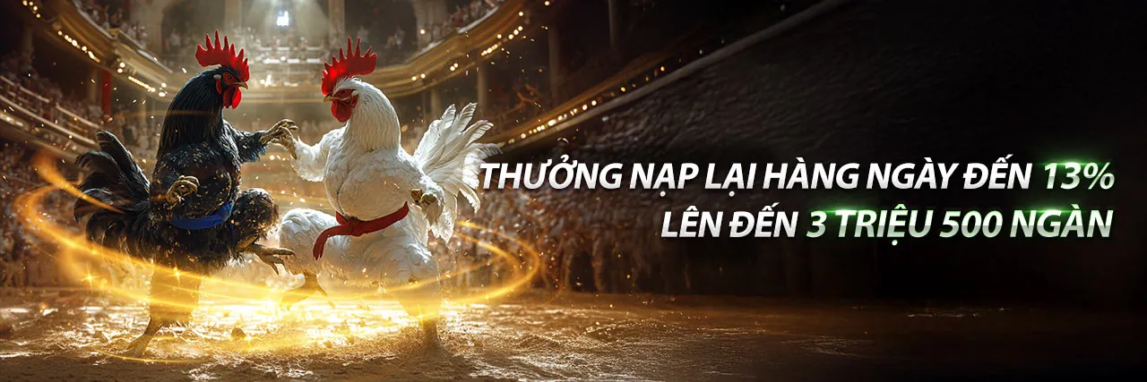 Hình ảnh chính của Blog m66 app